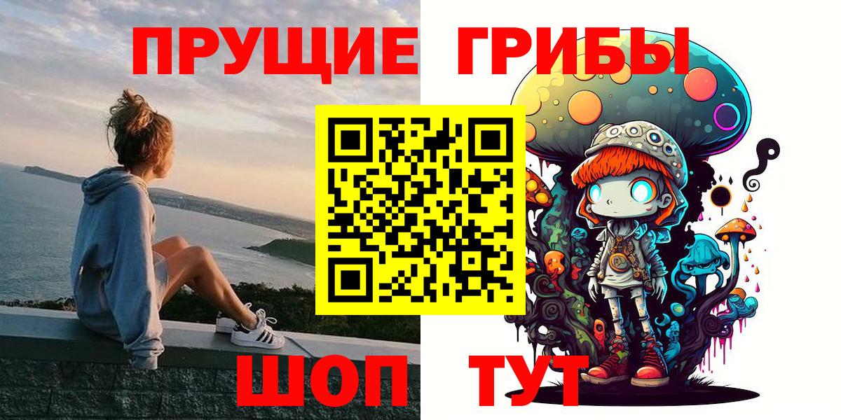 Сергиев Посад  Галлюциногенные грибы Magic Shrooms  Вход с VPN  Галлюциногенные грибы Psilocybe 